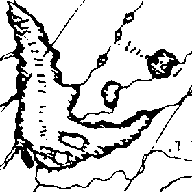 119/119780030000260_1.png