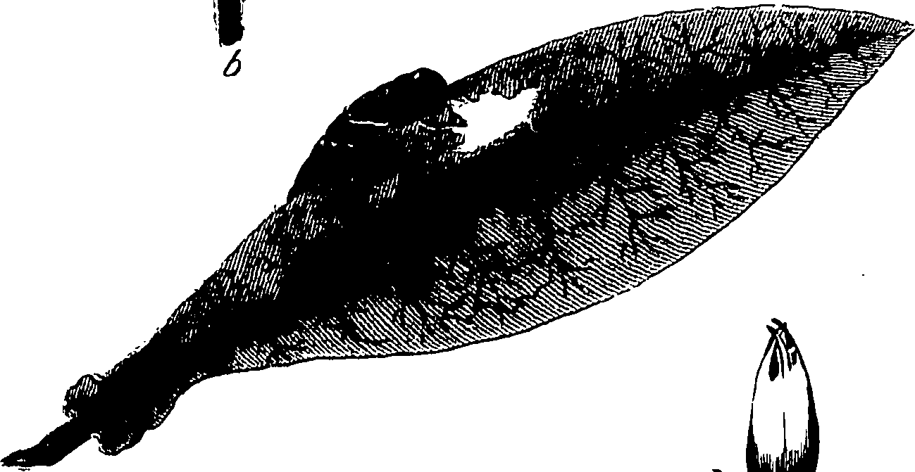 119/119780040000180_0.png