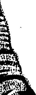 119/119780040000370_0.png