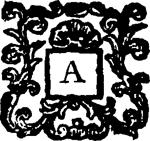 119/119800010000020_0.png