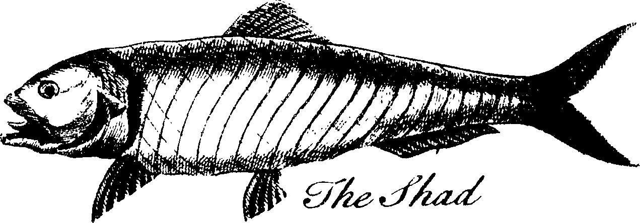119/119800010002610_0.png