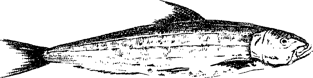 119/119800010002610_1.png
