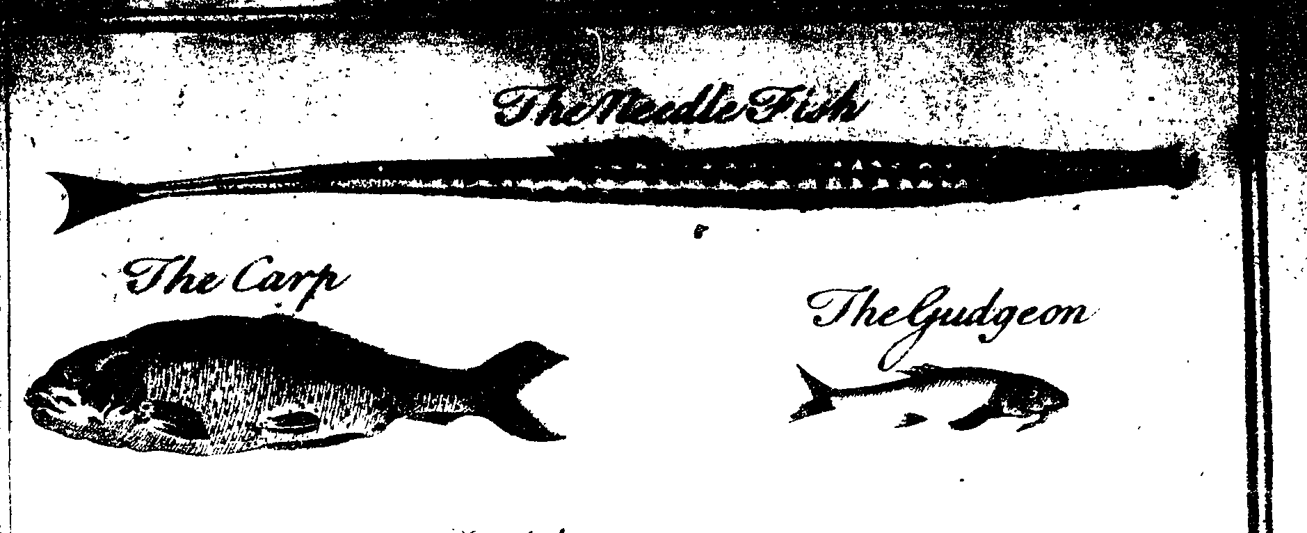 119/119800010002610_3.png