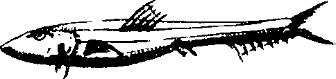 119/119800010002620_0.png