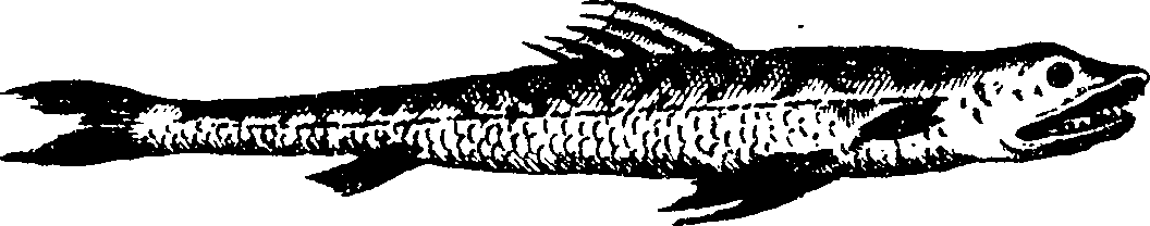 119/119800010002620_1.png
