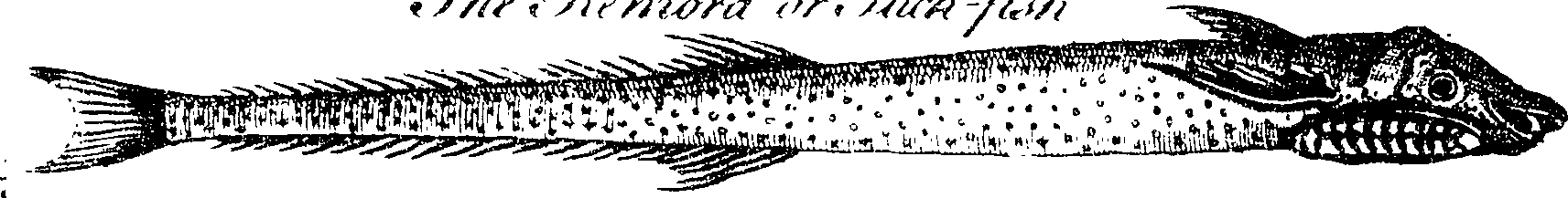 119/119800010002620_2.png