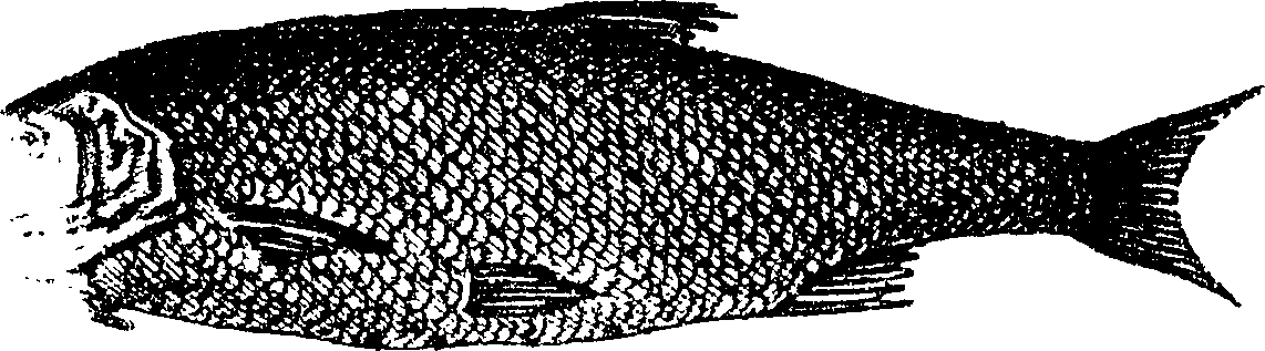 119/119800010002620_3.png