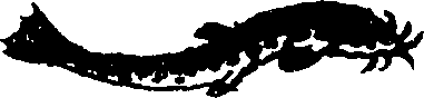 119/119800010002620_4.png