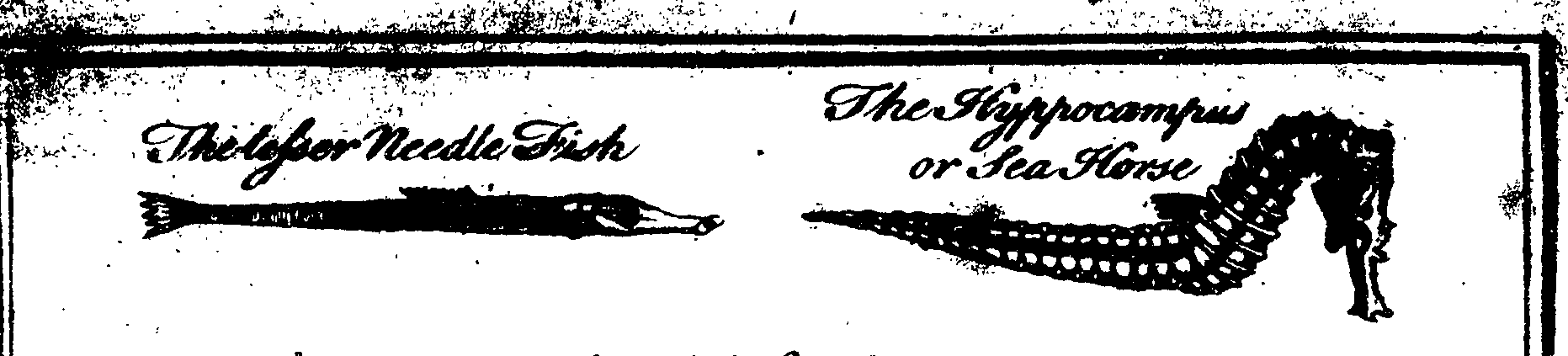119/119800010002620_5.png