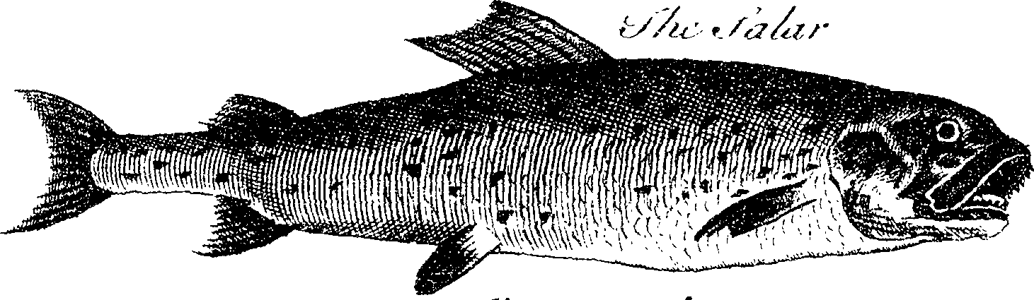 119/119800010002630_1.png