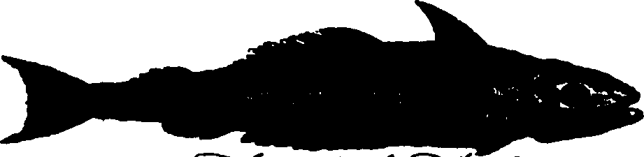 119/119800010002640_1.png