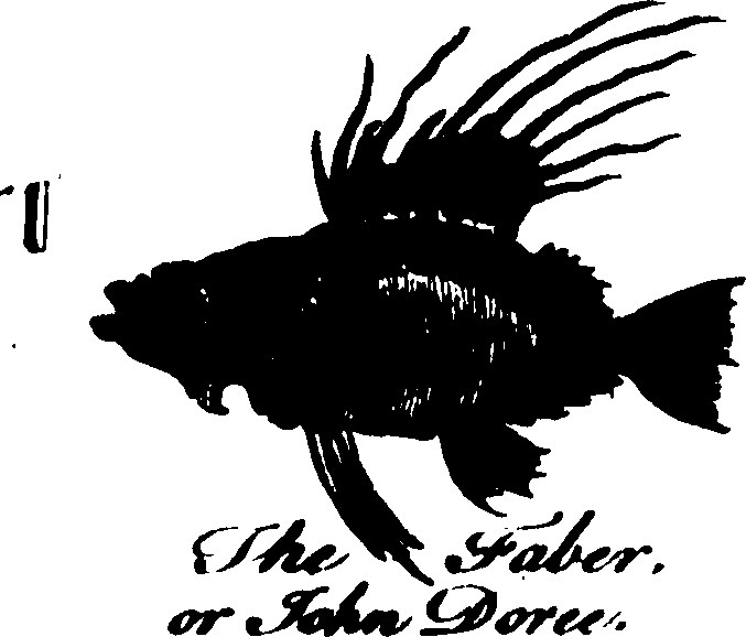 119/119800010002650_0.png