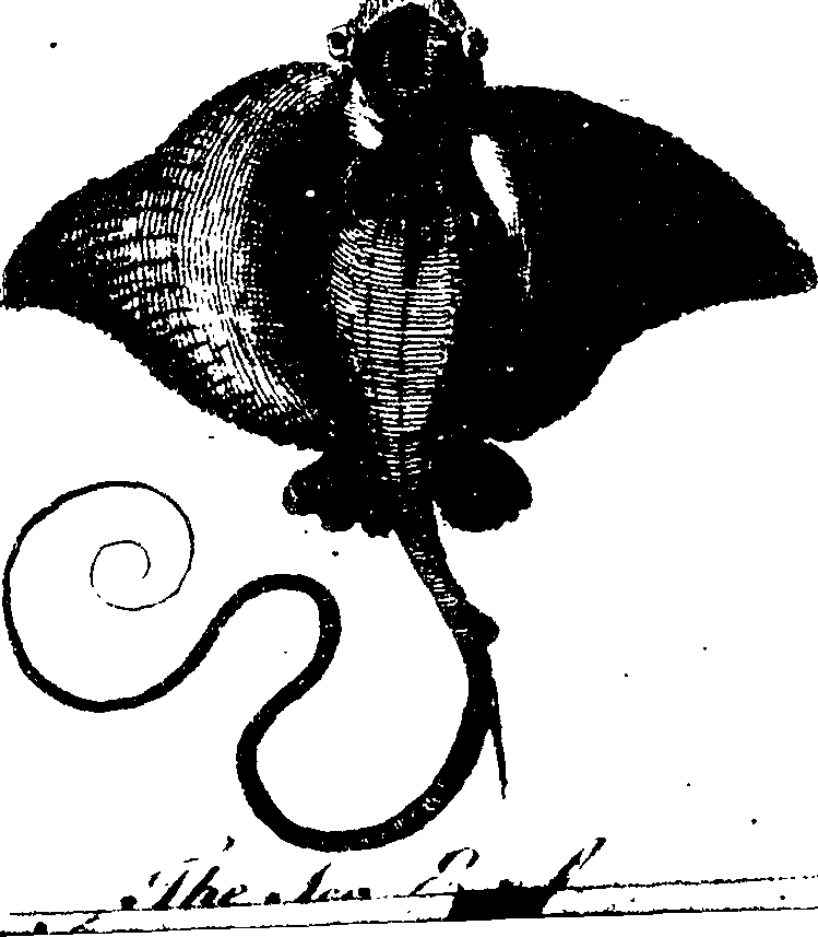 119/119800010002660_0.png