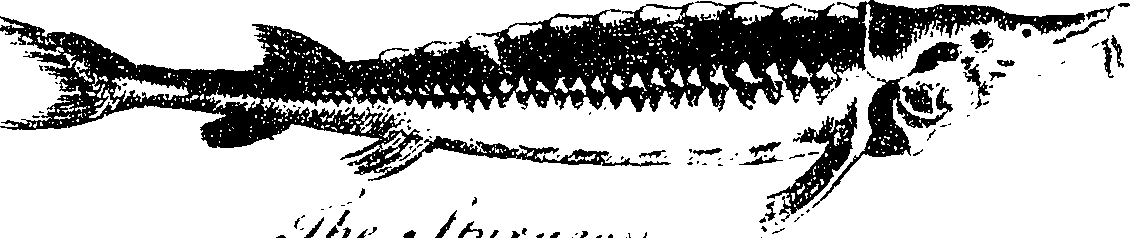 119/119800010002660_1.png