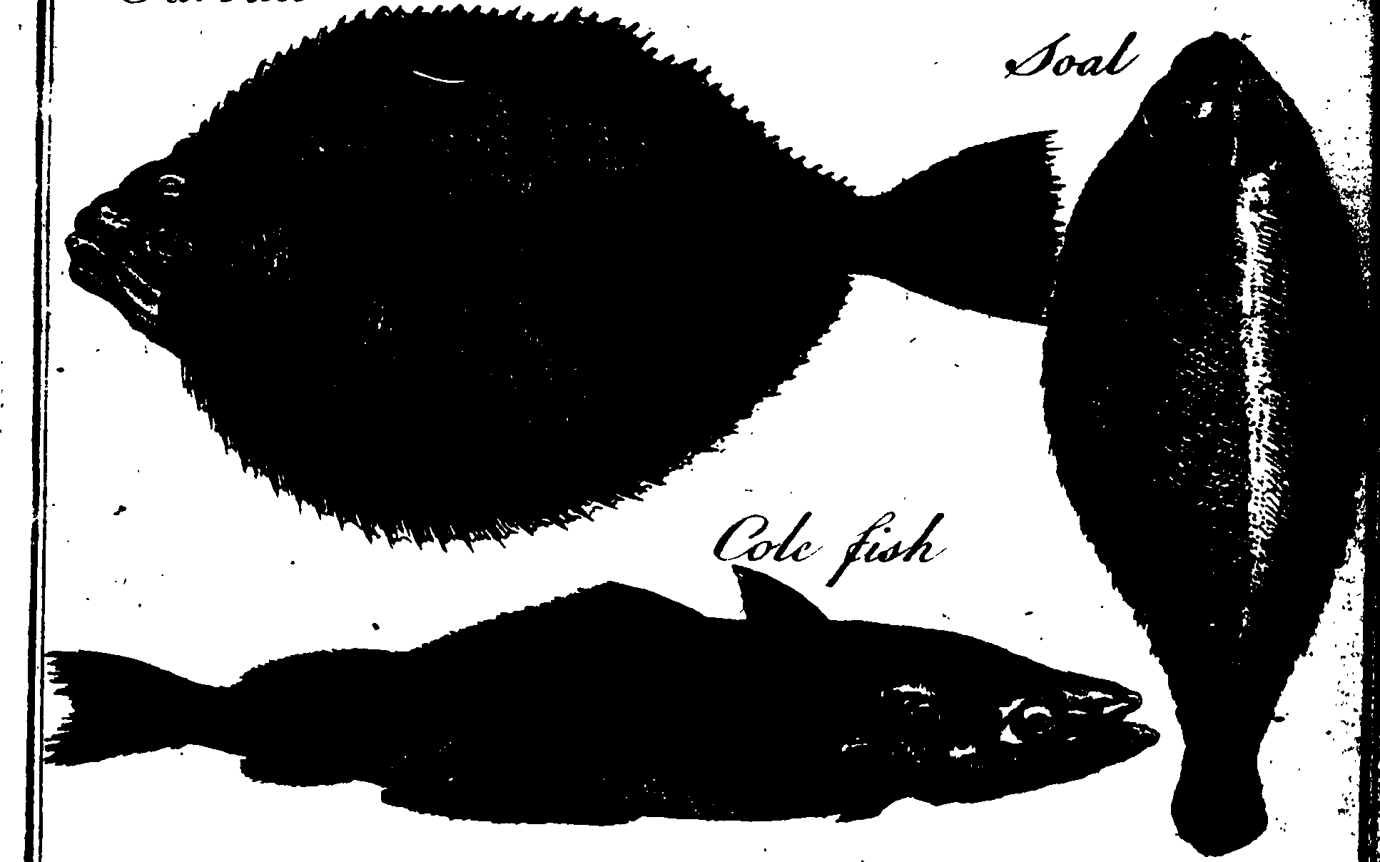 119/119800010002680_2.png