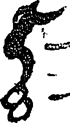 119/119920180000270_0.png
