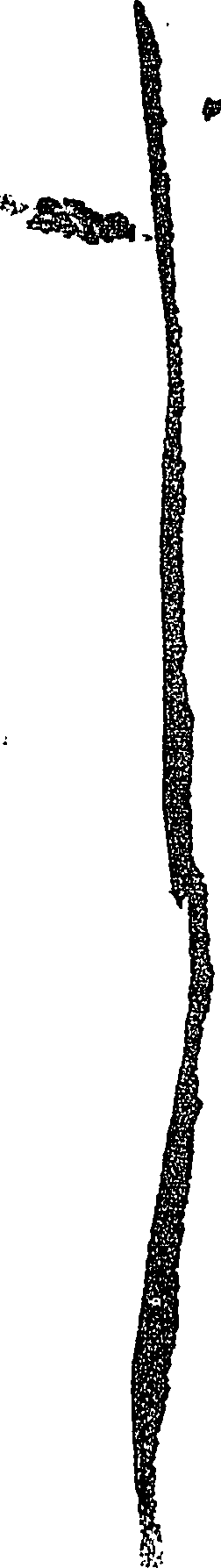 119/119920180000310_1.png