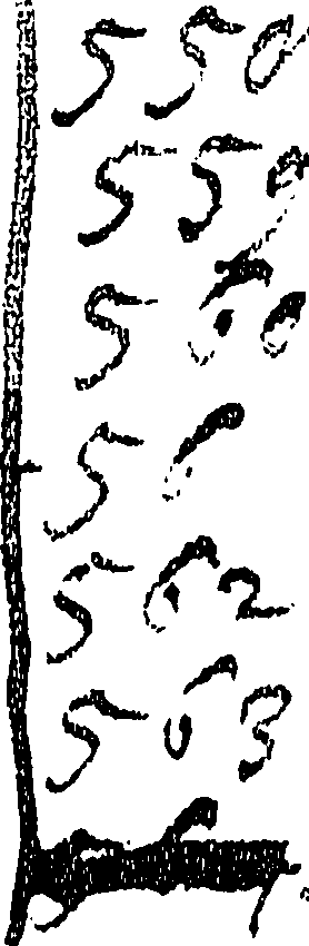 119/119920180000340_0.png