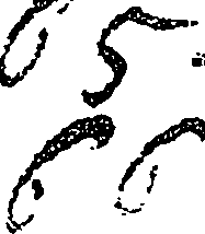 119/119920180000350_1.png