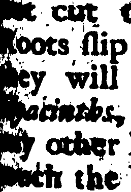 119/119940050002670_1.png