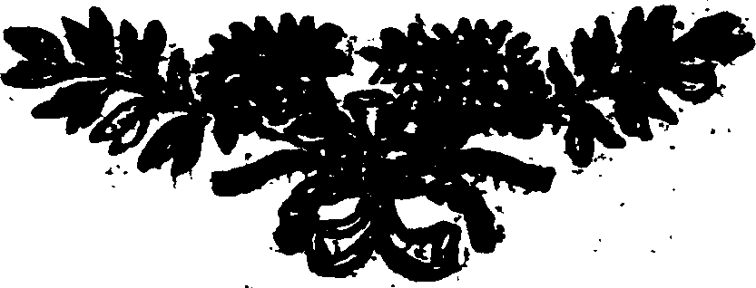 119/119940050002750_0.png