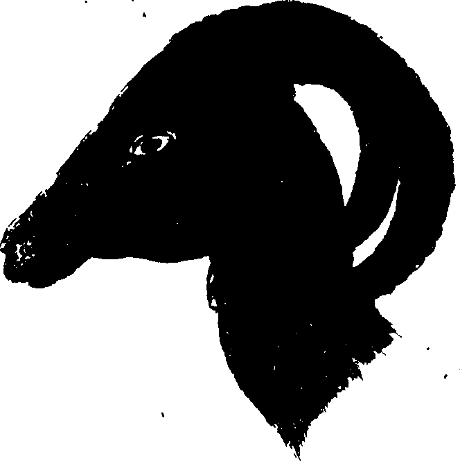 119/119950010100980_1.png