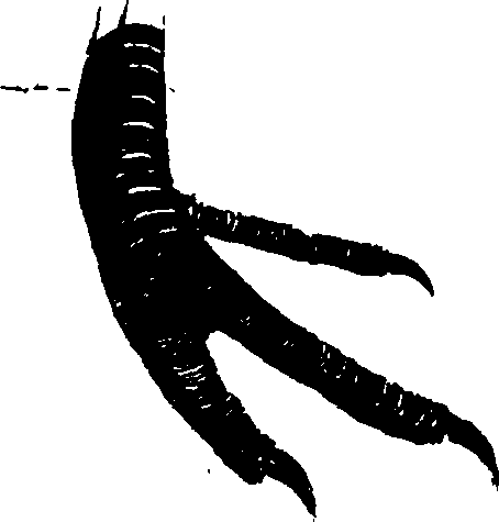 119/119950010101520_0.png