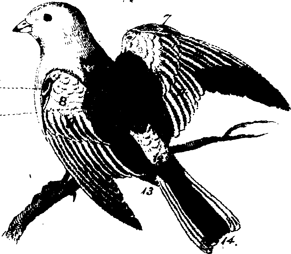 119/119950010101520_2.png