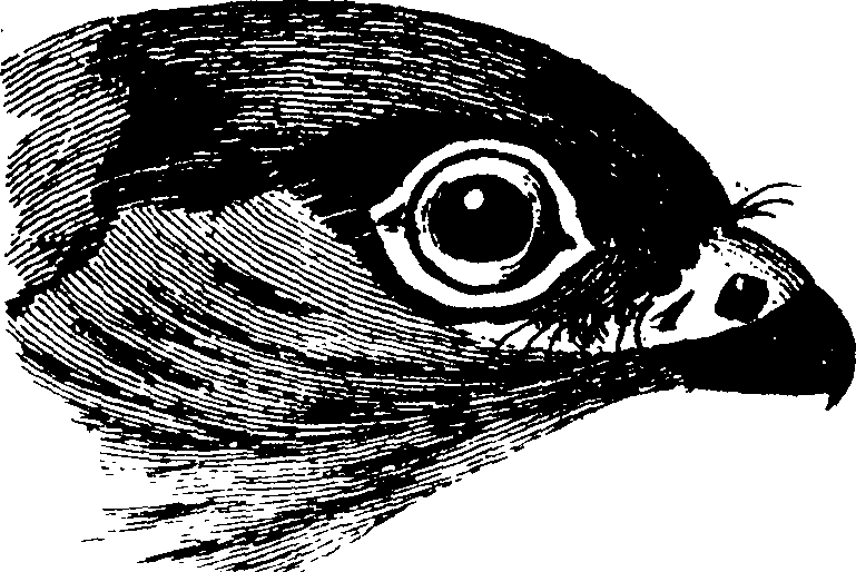 119/119950010101520_3.png