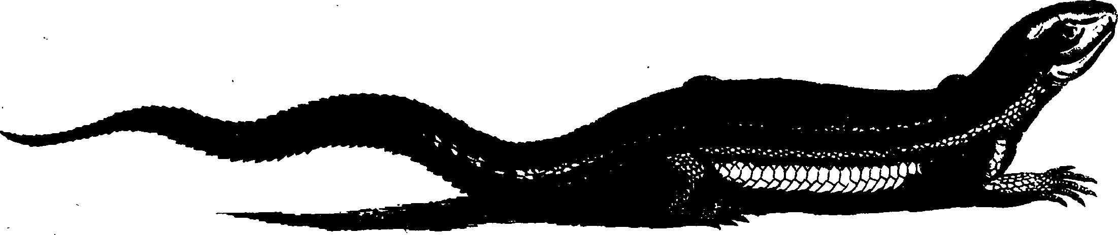 119/119950010300230_0.png