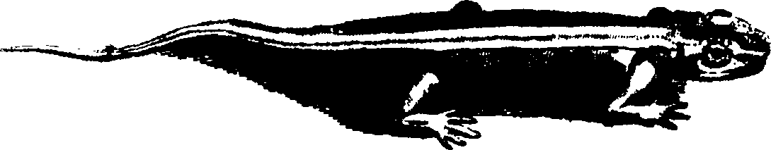 119/119950010300230_1.png