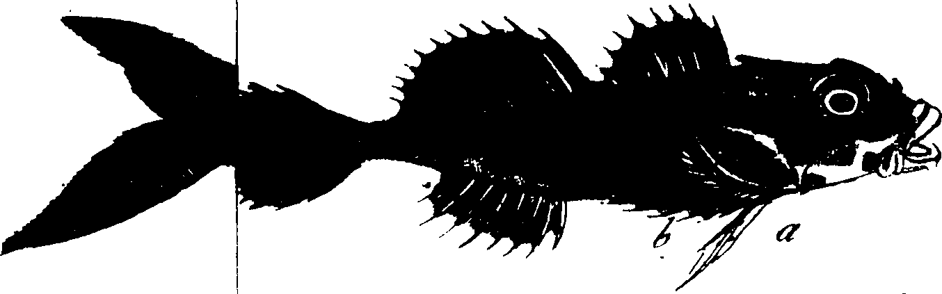 119/119950010300450_2.png