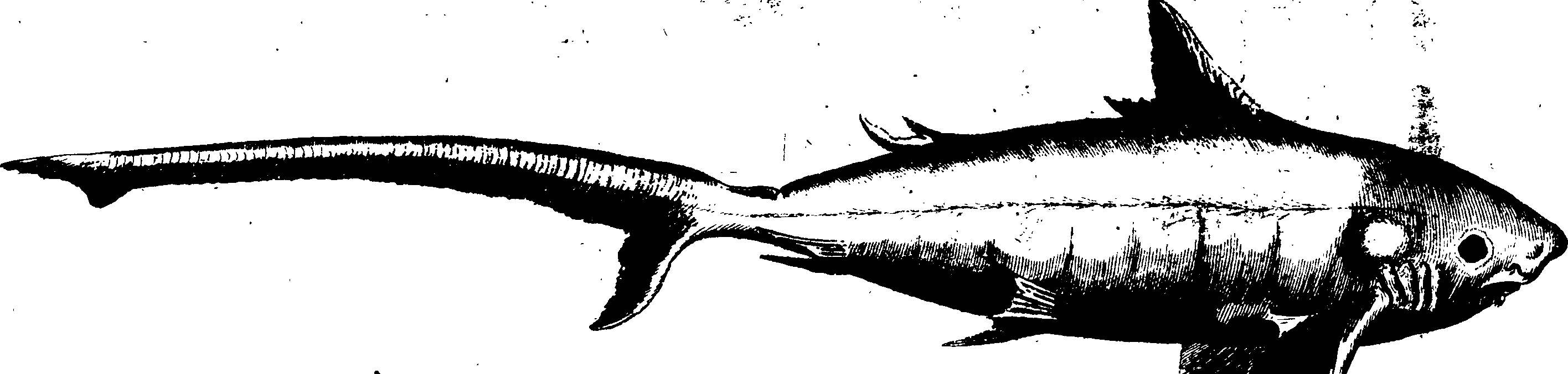 119/119950010301030_0.png