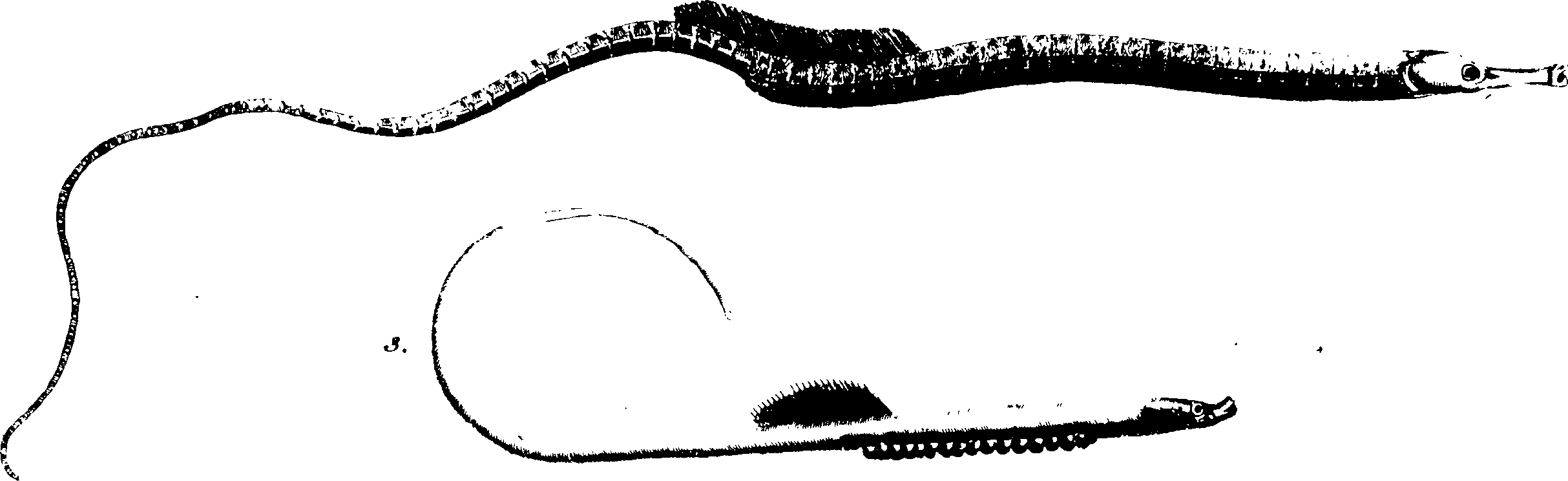 119/119950010301250_0.png