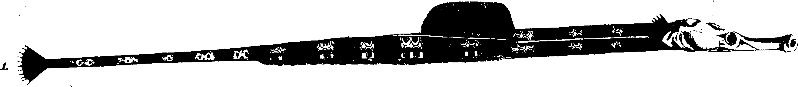 119/119950010301250_1.png