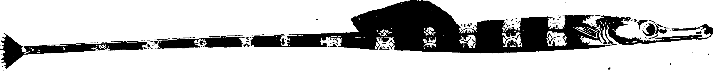119/119950010301250_2.png