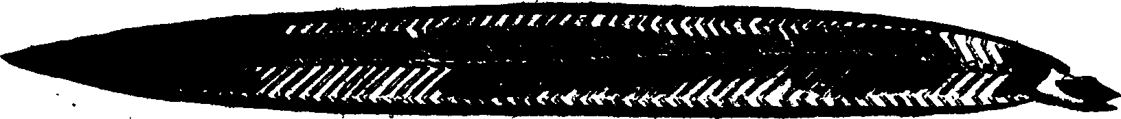 119/119950010301440_1.png