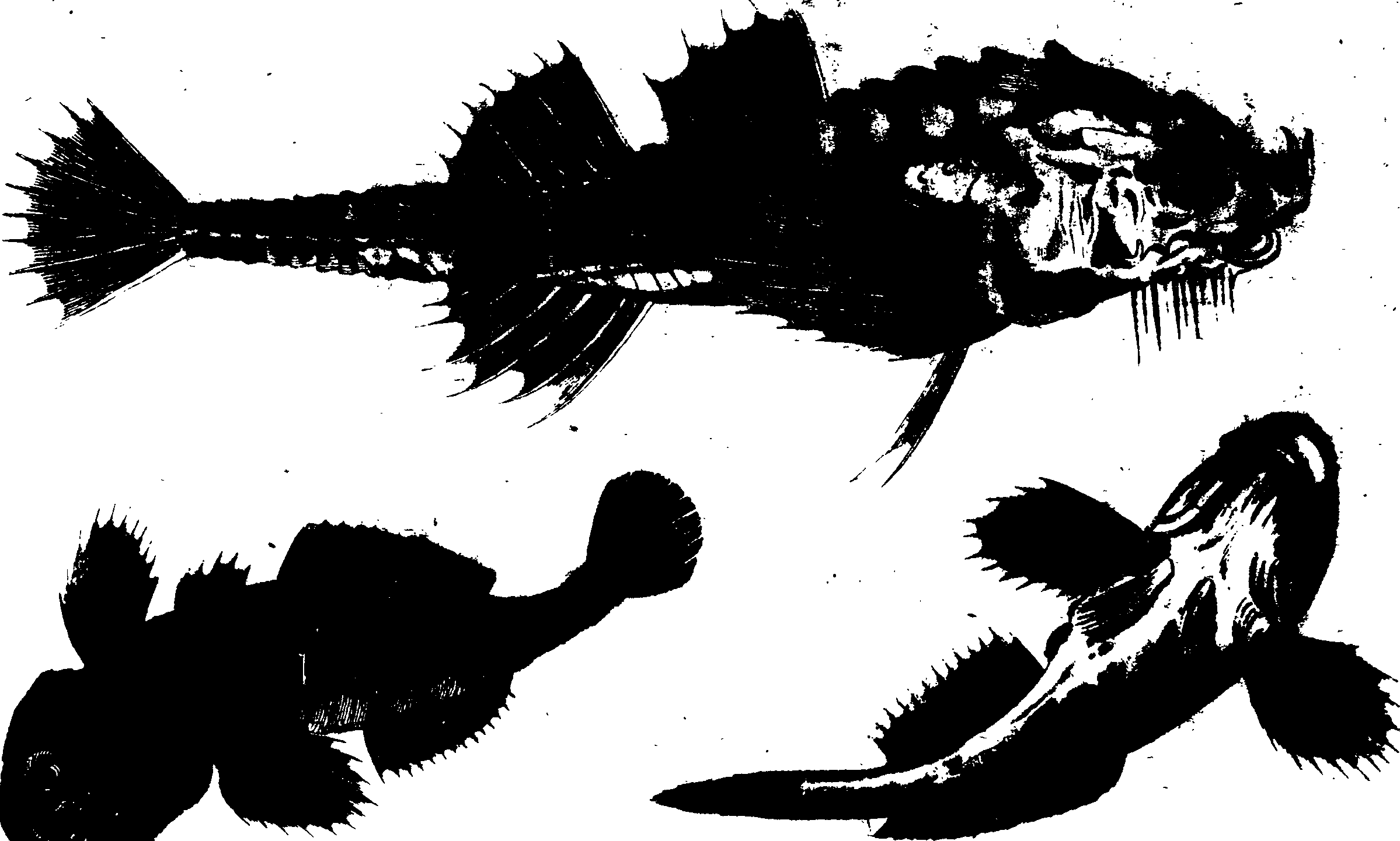 119/119950010302030_0.png
