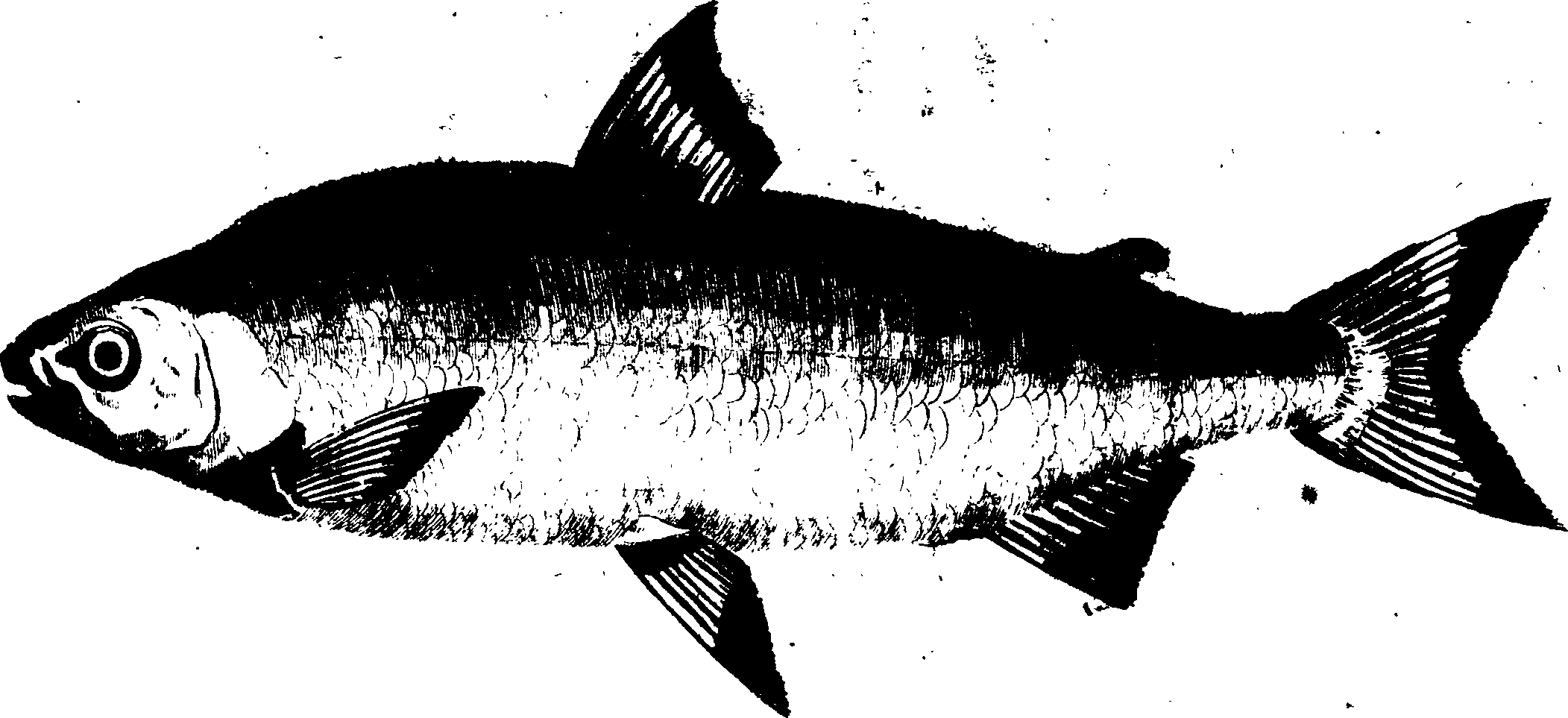 119/119950010302980_0.png