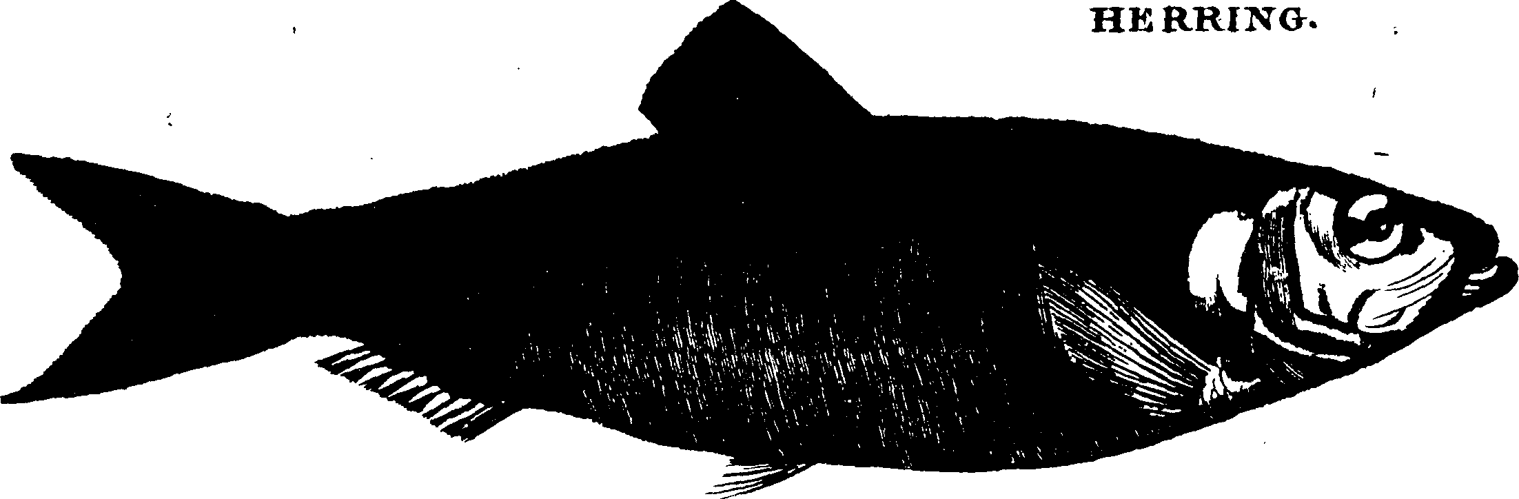 119/119950010303230_1.png