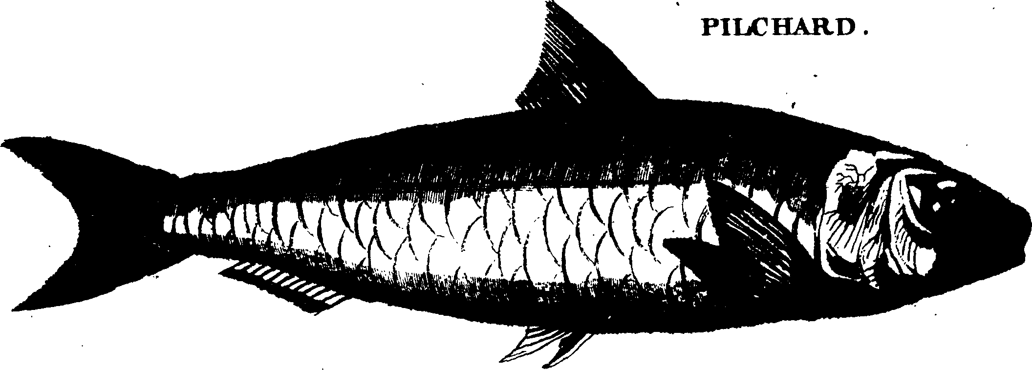 119/119950010303230_2.png