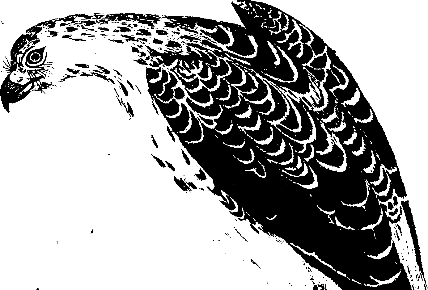 119/119950010400100_1.png