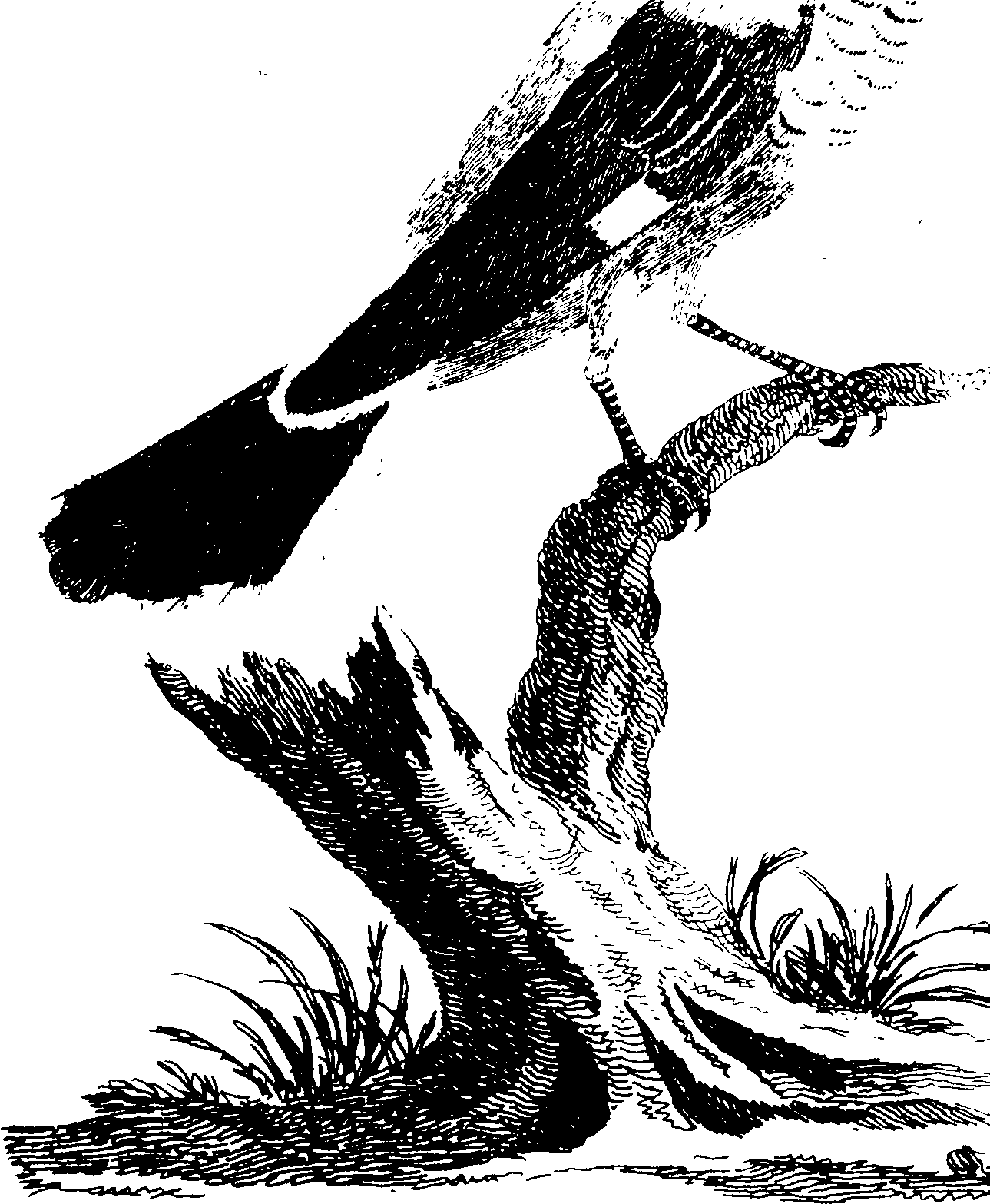119/119950010400160_0.png