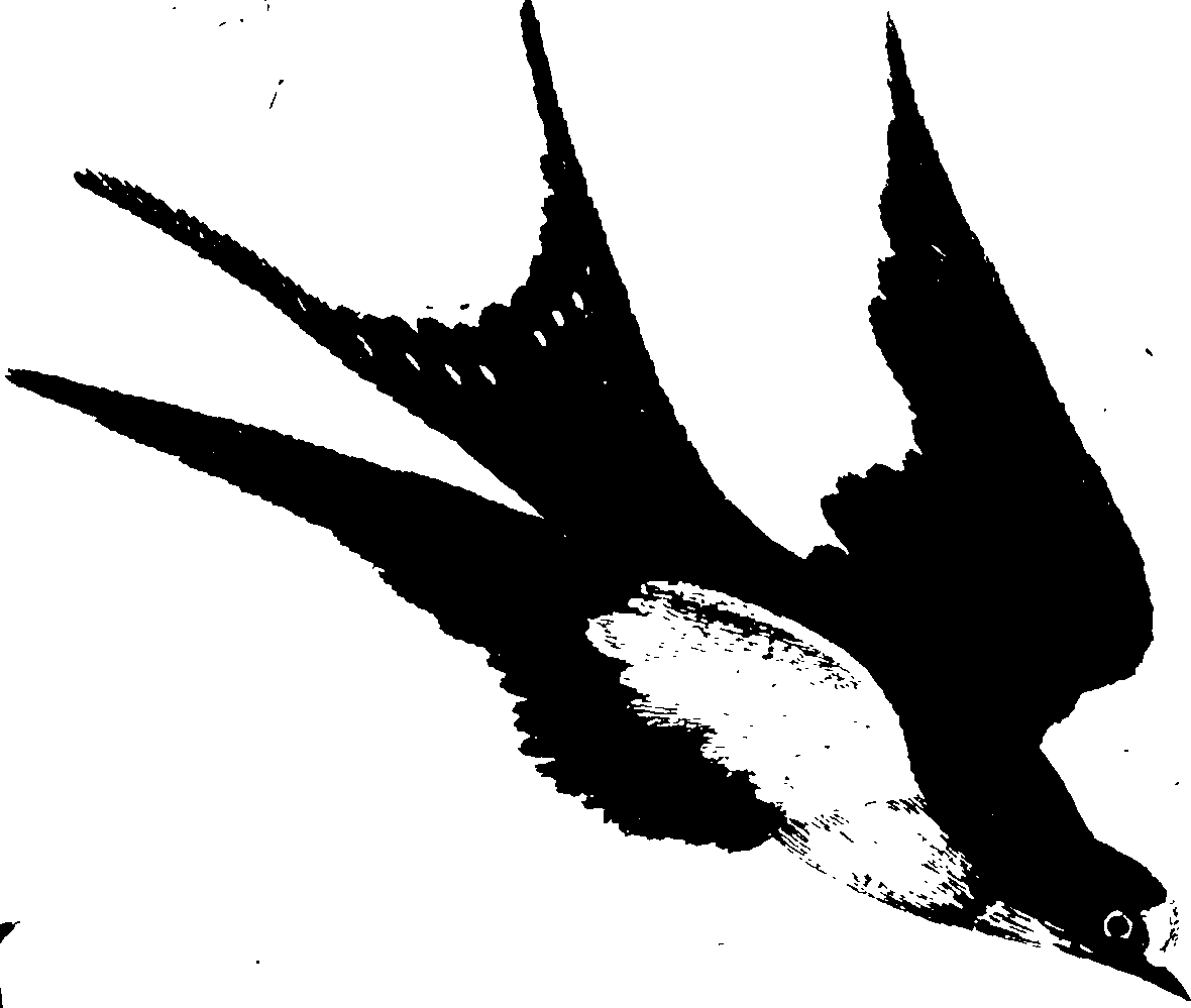 119/119950010400200_0.png
