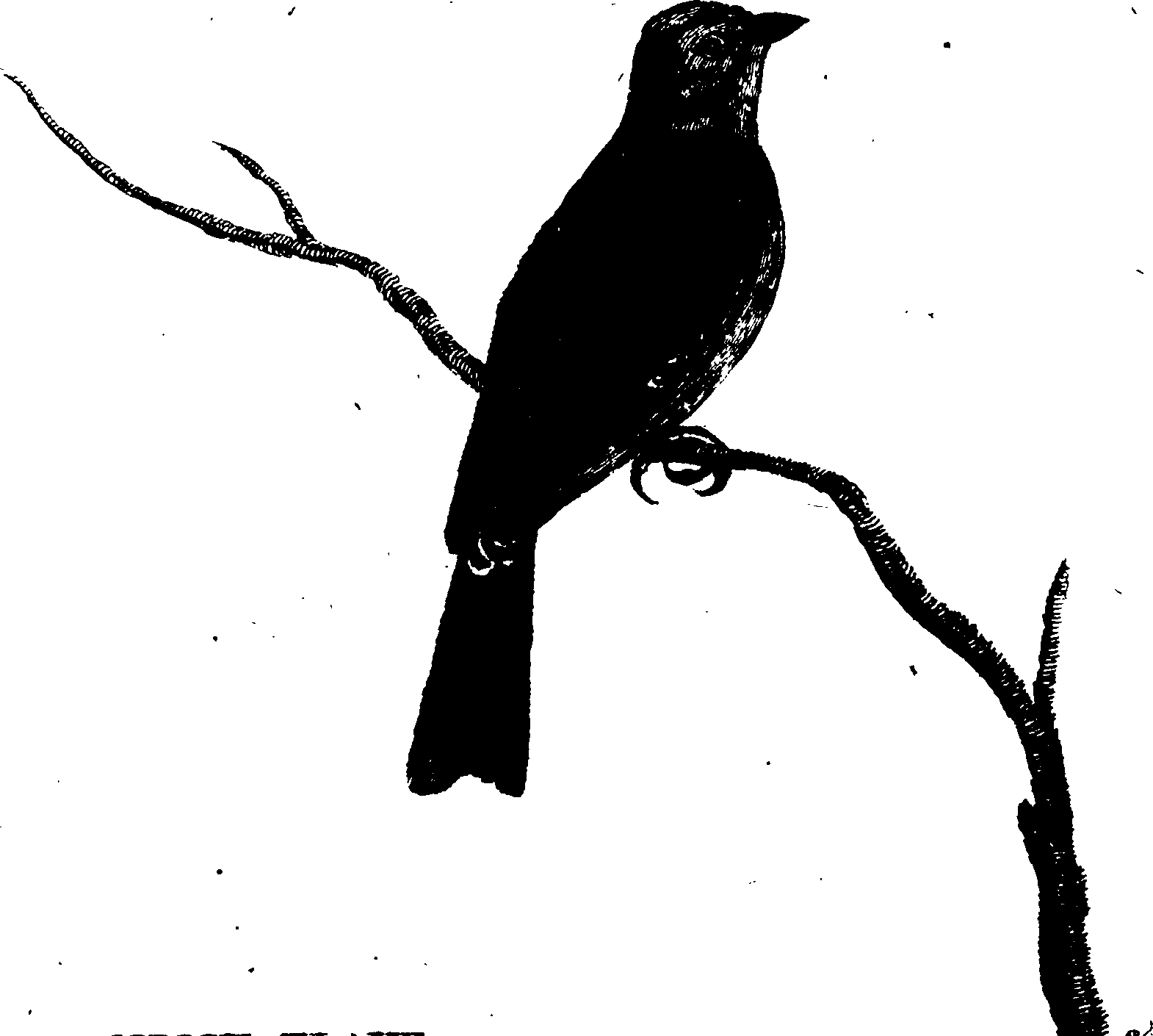 119/119950010400260_1.png