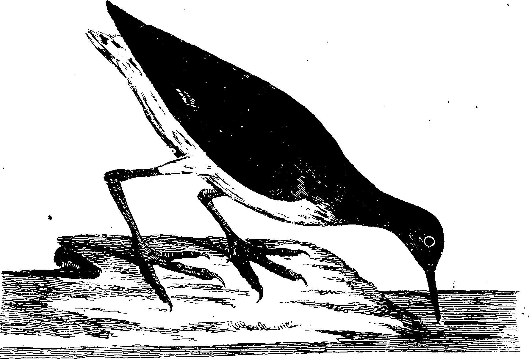119/119950010400360_1.png