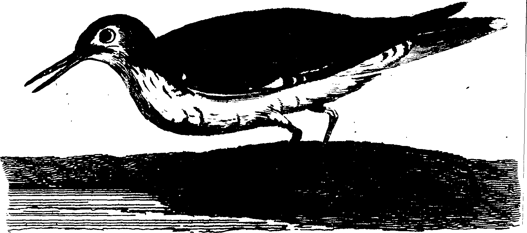 119/119950010400370_0.png