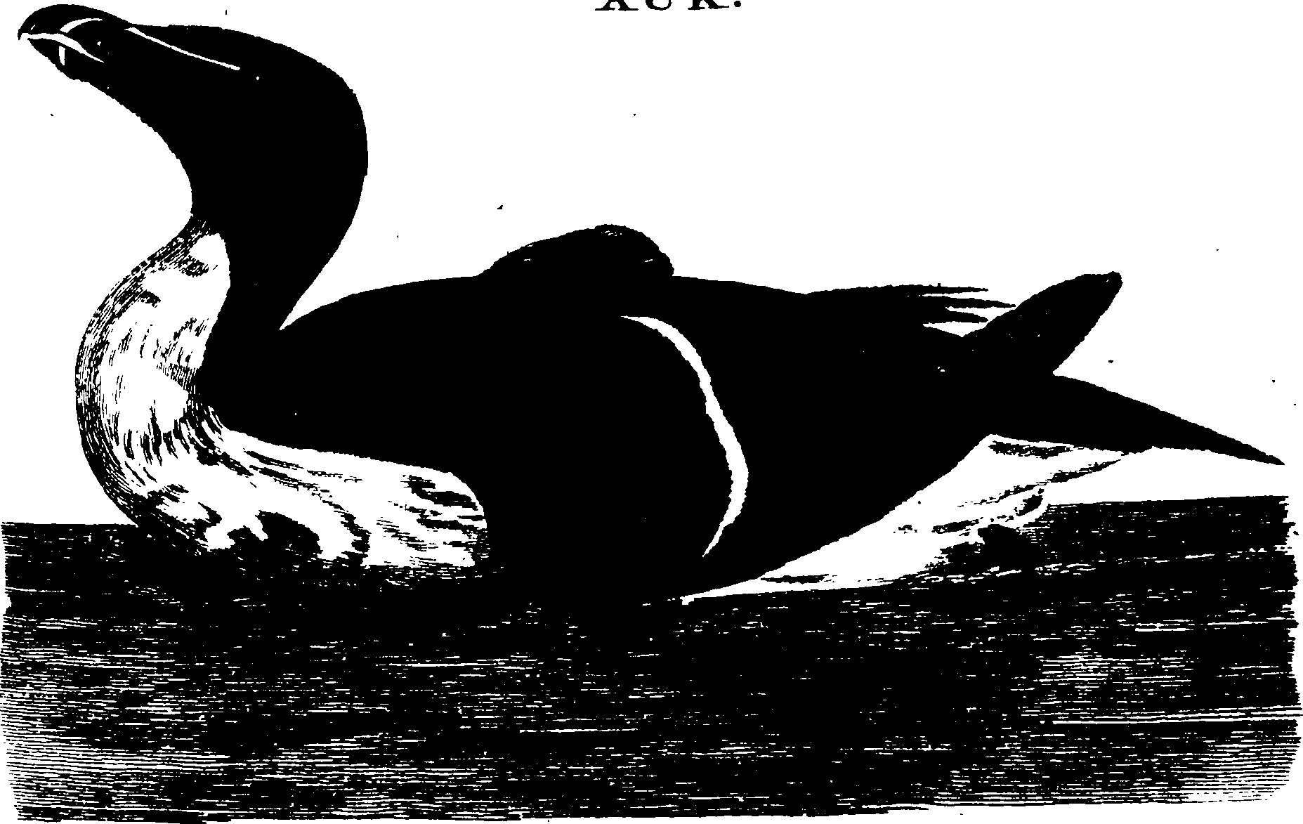 119/119950010400420_0.png