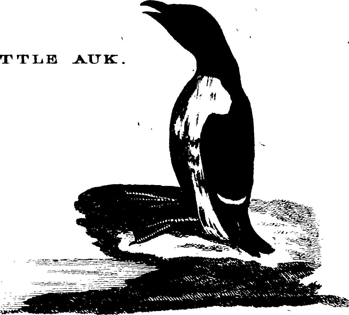 119/119950010400420_1.png