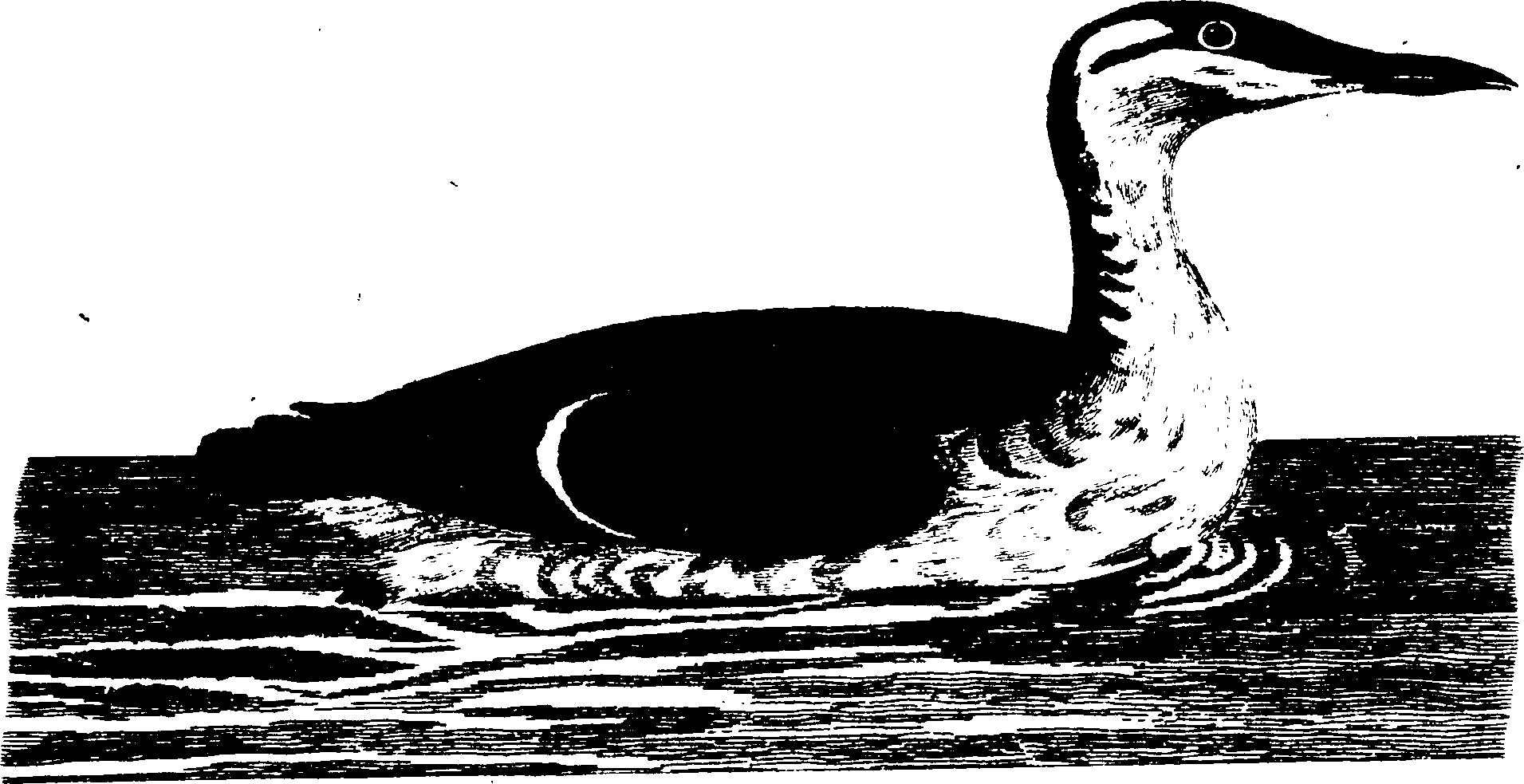119/119950010400430_1.png